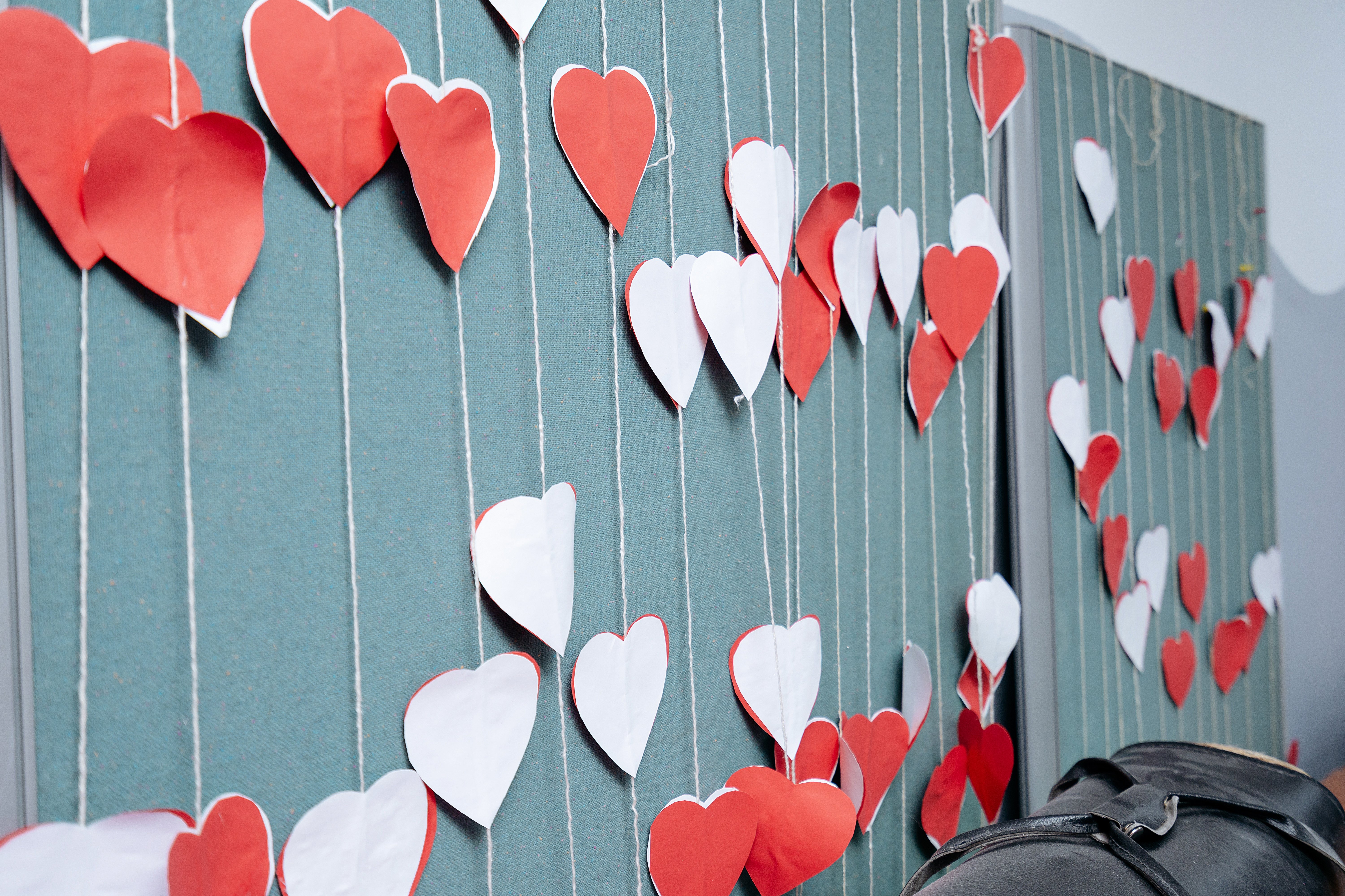 «Особята» и «нормики»