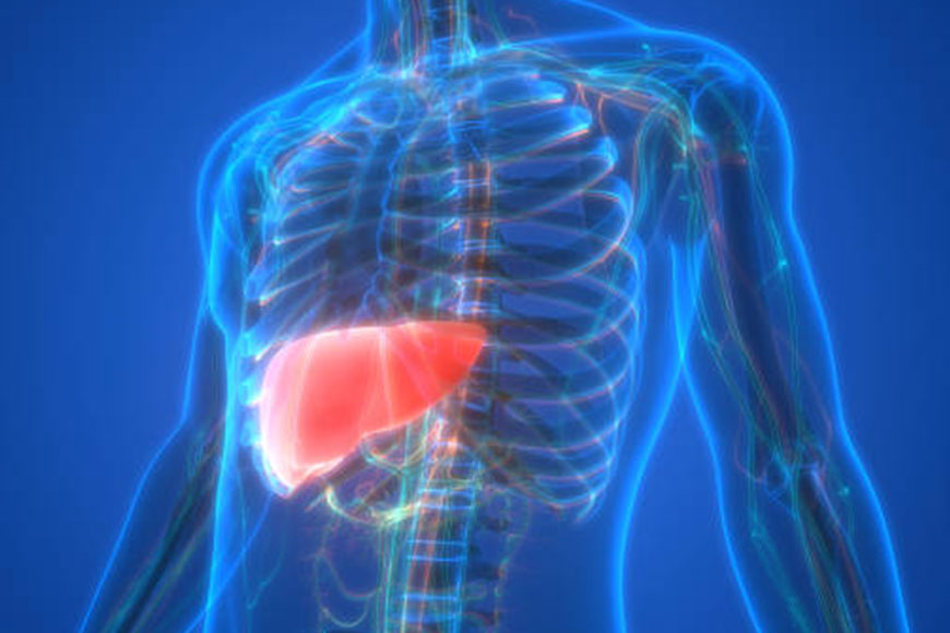 Три безобидные привычки, из-за которых страдает печень