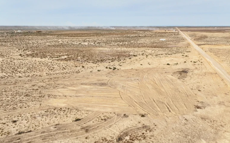 Десятки курганов на юге Казахстана уничтожаются ради хлопковых полей