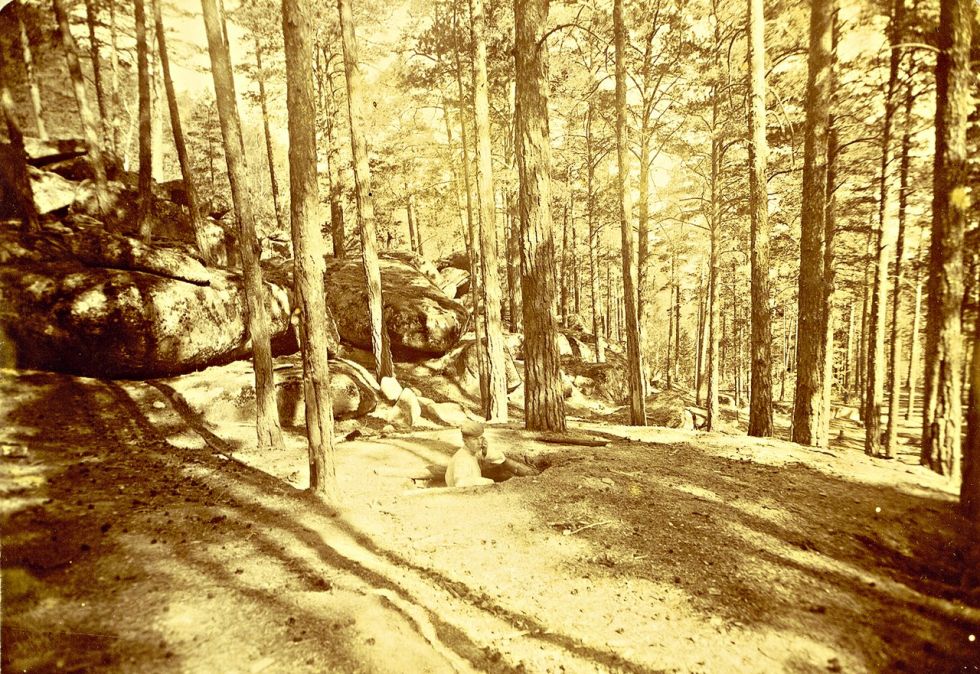 news5377.jpg news5377.jpg