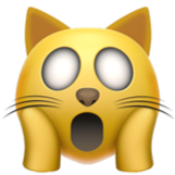 уставшая кошка