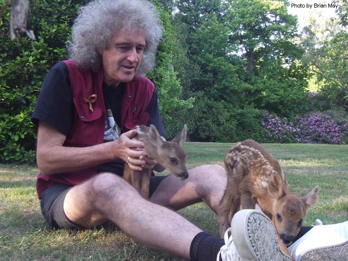 Фото 5. Brian-May-with-animals_Пинтерест.jpg Фото 5. Brian-May-with-animals_Пинтерест.jpg