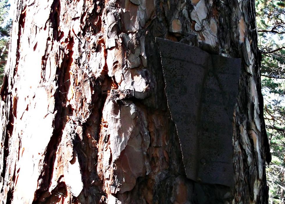 news5379.jpg news5379.jpg