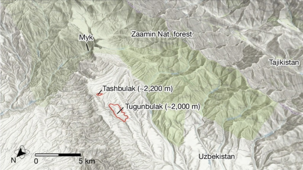 Снимок экрана 2024-11-03 в 12.37.38.png