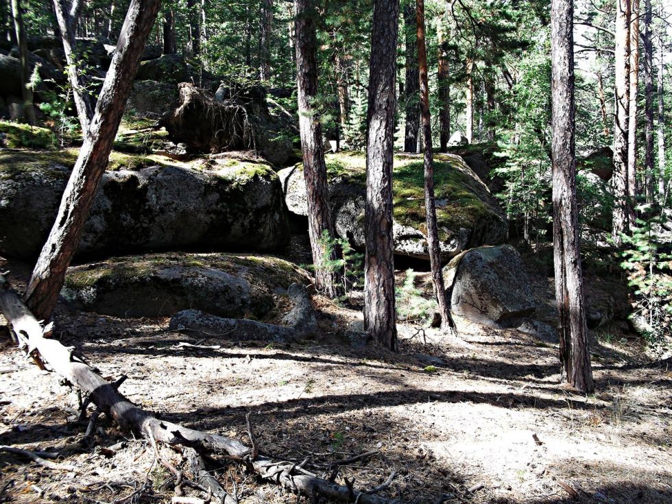 news5380.jpg news5380.jpg