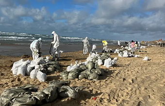 Мазут из Керченского пролива «доплыл» до Крыма