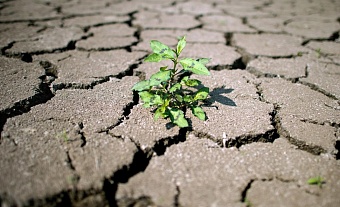 Штормовое предупреждение по западу и югу Казахстана