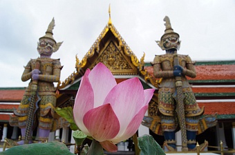 Изумрудный Будда: в чем ценность главной святыни Таиланда 