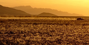 «Джунгарские Ворота» – портал завоевателей? Что настораживает географа 