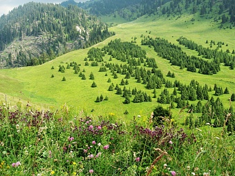 В горах близ Алматы обустроено 850 км пеших маршрутов 