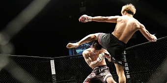 UFC против PFL в 2026 году: деньги, звёзды и форматы — в чём реальная разница