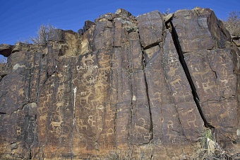 Ученые расшифровали чудом уцелевший петроглиф в Жетысу