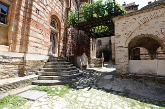 Лоза святого Симеона: плоды, дарующие избавление от бездетности 