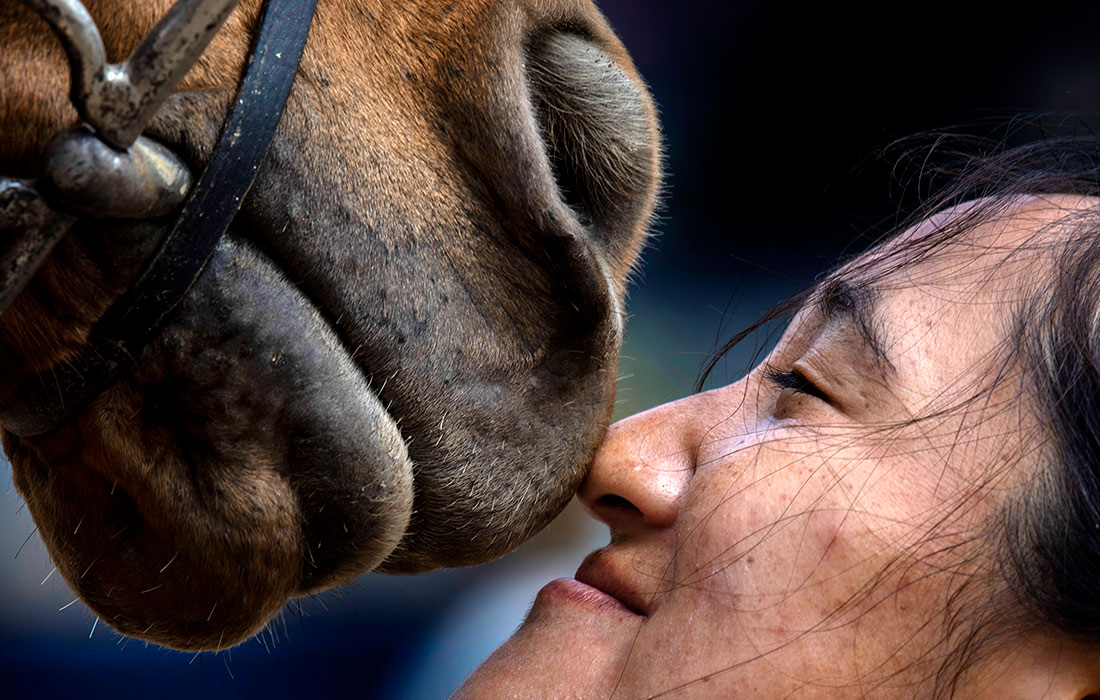 необычная выставка